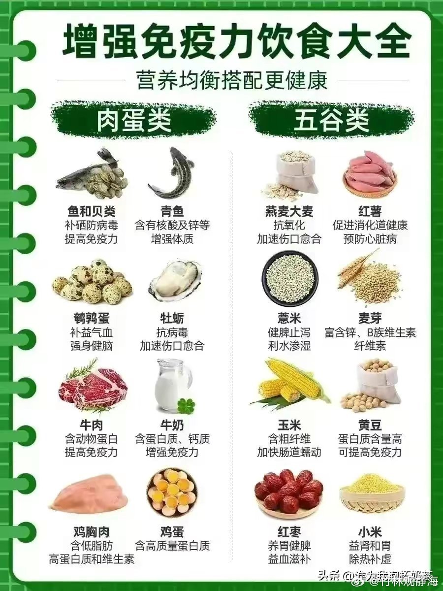 養(yǎng)生食譜如何提高免疫系統(tǒng)功能,數(shù)據(jù)結(jié)構(gòu)智能優(yōu)化_晶瑩版77.40.18