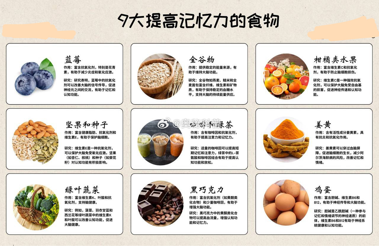 養(yǎng)生食譜幫助改善記憶力與集中力,實施路徑優(yōu)化推進_宏遠版31.64.23