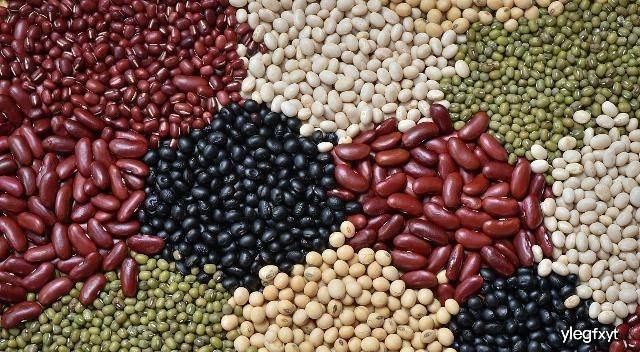 食療幫助增強(qiáng)腎臟功能,科技智能服務(wù)優(yōu)化提案_騰躍全景70.22.68