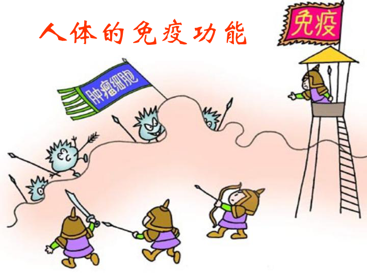 如何通過食物提升身體免疫反應(yīng),多維方案設(shè)計(jì)機(jī)制_高級(jí)版99.06.44