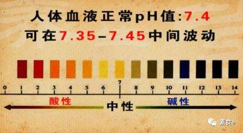 如何通過食療平衡體內(nèi)酸堿度,全維度管理優(yōu)化工具_超越巔峰04.63.81