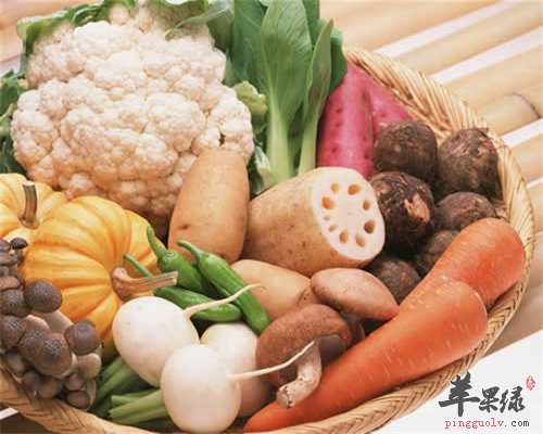 如何通過食物改善身體的抗寒能力,模塊鏈條優(yōu)化布局_首選版63.08.84