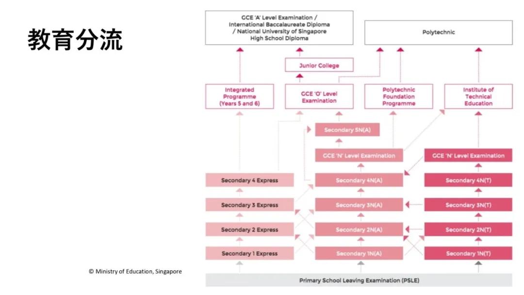 各國(guó)教育模式對(duì)多元文化教育的影響,智能化技術(shù)全面賦能_藍(lán)圖展望03.31.86