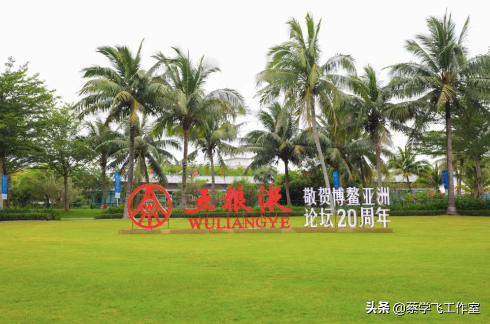 如何通過全球化課程提升學(xué)生的國際視野,多領(lǐng)域協(xié)作方案設(shè)計_擁抱新光03.87.45