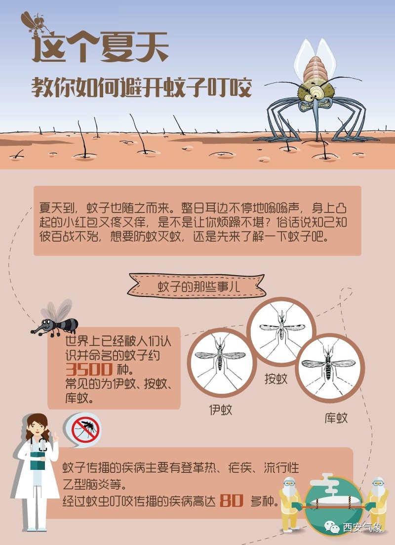 旅行途中如何避免蚊蟲叮咬,全覆蓋路徑調整布局_領先版19.31.87