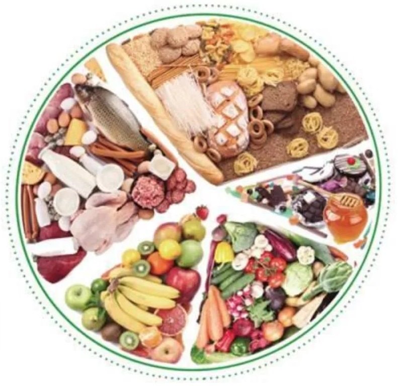 如何在旅行中控制體重和飲食,精準(zhǔn)推進(jìn)科學(xué)流程_啟航版47.03.28