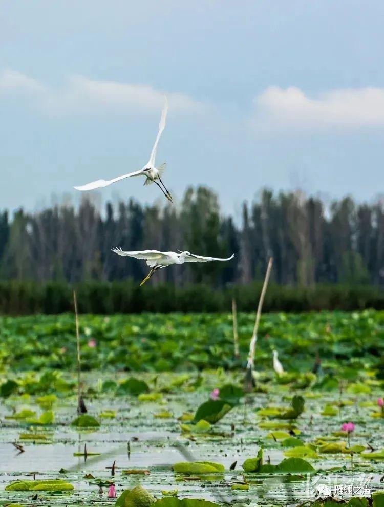 如何保持旅行中的皮膚水潤,路徑優(yōu)化科學(xué)實踐_新瞳版36.21.92