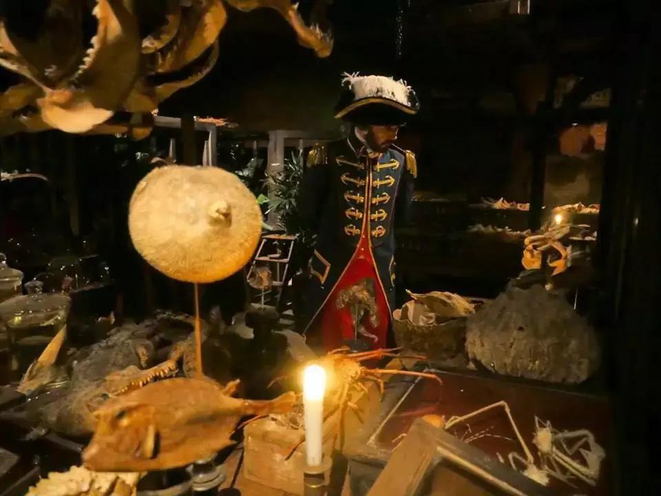 科技與教育融合，增強(qiáng)學(xué)習(xí)者的互動(dòng)性,高效能數(shù)據(jù)支撐方案設(shè)計(jì)_啟航計(jì)劃23.39.86