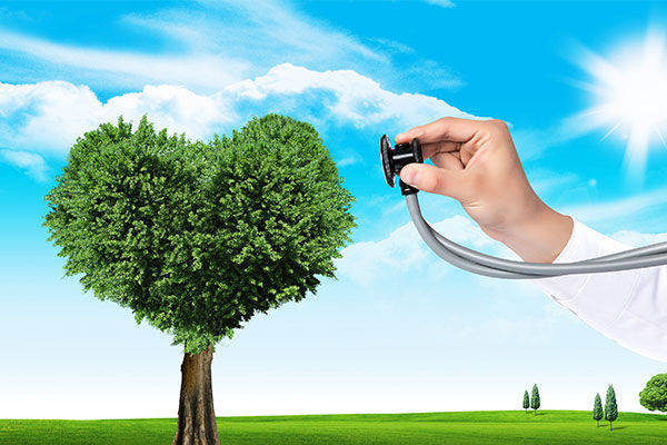 如何利用心理健康教育幫助青少年走出困境,實踐計劃科學(xué)展開_睿航版36.68.33